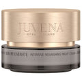 Rejuvenate & Correct Intensive Nourishing Night Cream (dry to very dry skin) - Intensive Night Cream 50ml