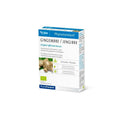 Pileje Phytoprevent Phytostandard Ginger 20 Glules