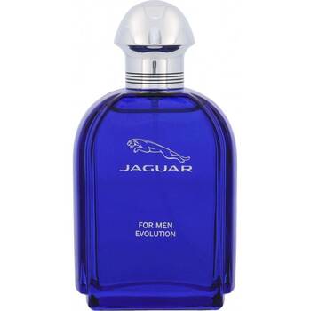 Evolution EDT Tester 100ml