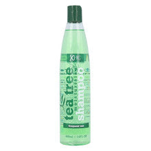 Tea Tree Moisturising Shampoo 400ml