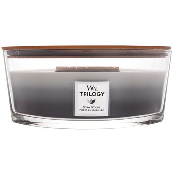 Warm Woods Trilogy Ship - Warm Candle 453.6g