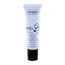 Jeju Fluid-Korektor - Concealer Natural 30ml