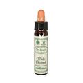 Santiveri Bach White Chestnut 10ml