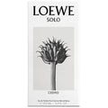 Solo Loewe Cedro EDT 100ml