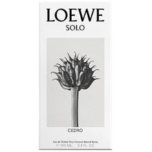 Solo Loewe Cedro EDT 100ml