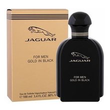 Gold in Black EDT 100ml