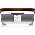 Amethyst Sky Trilogy Ship ( Amethyst Sky ) 453.6g