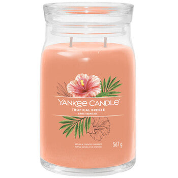Tropical Breeze Signature Candle 368.0g