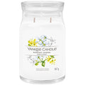 Midnight Jasmine Signature Candle 368.0g