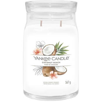Coconut Beach Signature Candle (coconut beach) 368.0g