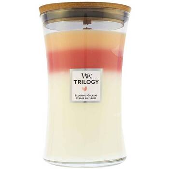 Blooming Orchard Trilogy Vase ( Blooming Orchard ) 275.0g