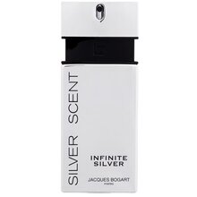 Silver Scent Infinite Silver EDT 100ml