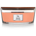 Manuka Nectar Vase (manuka nectar) 453.6g