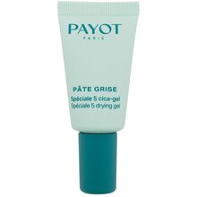Pate Grise Spéciale 5 Drying Gel 15ml