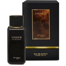 Vigor EDP 100ml