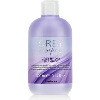 Inebrya Grey By Day Shampoo 300ml