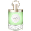 Rose Croquante EDT 100ml