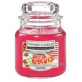 Home Inspiration Sugared Strawberries 538.0g