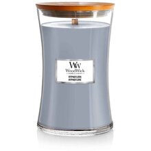 Hypnoflora Vase (moon flower) 609.5g