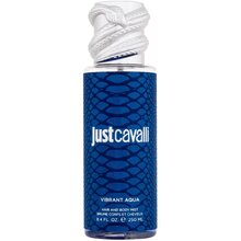 Just Cavalli Vibrant Aqua Hair Mist 250ml
