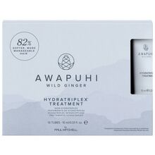 Awapuhi Wild Ginger Hydratriplex Treatment 100ml