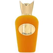 Erba Oud EDP 100ml