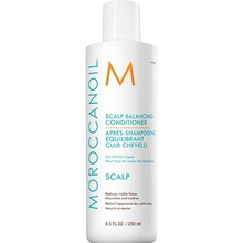 Scalp Balancing Conditioner - oily scalp 250ml