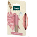 Colored Lip Care ( Rosewood ) 4.7g
