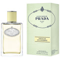 Infusion de Gingembre EDP 100ml