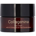 Day Cream with 6 Collagens - Denní krém s 6 typy kolagenu 50ml