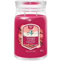 Santa On Skis Signature Candle ( Santa na lyžích ) - Vonná svíčka 368.0g