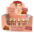 Ynsadiet Protector Labial Propoleo 4g