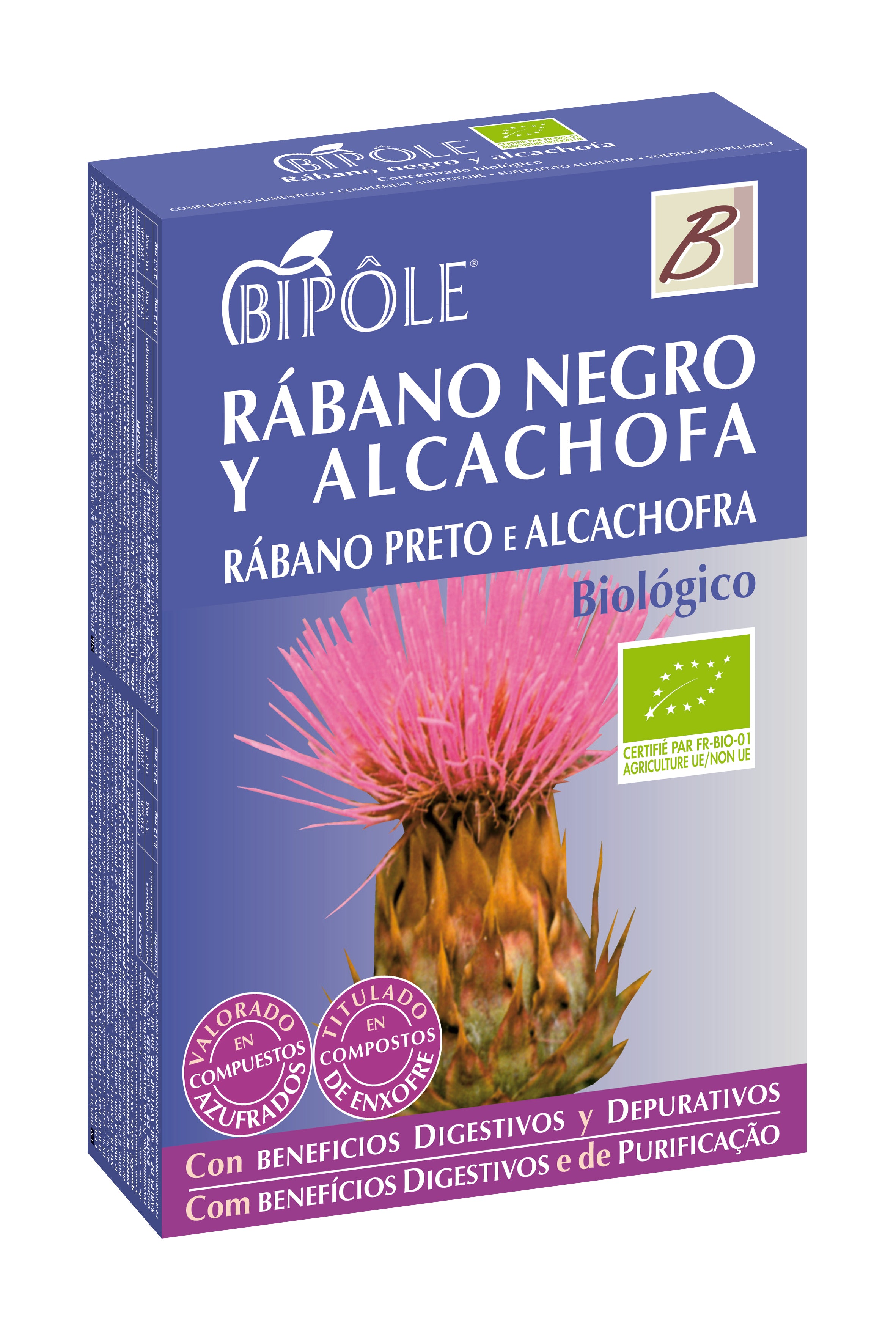 Intersa Bipole Rabano Negro-Alcachofa