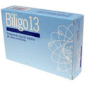 Artesania Biligo 13 Aluminio 20 Amp