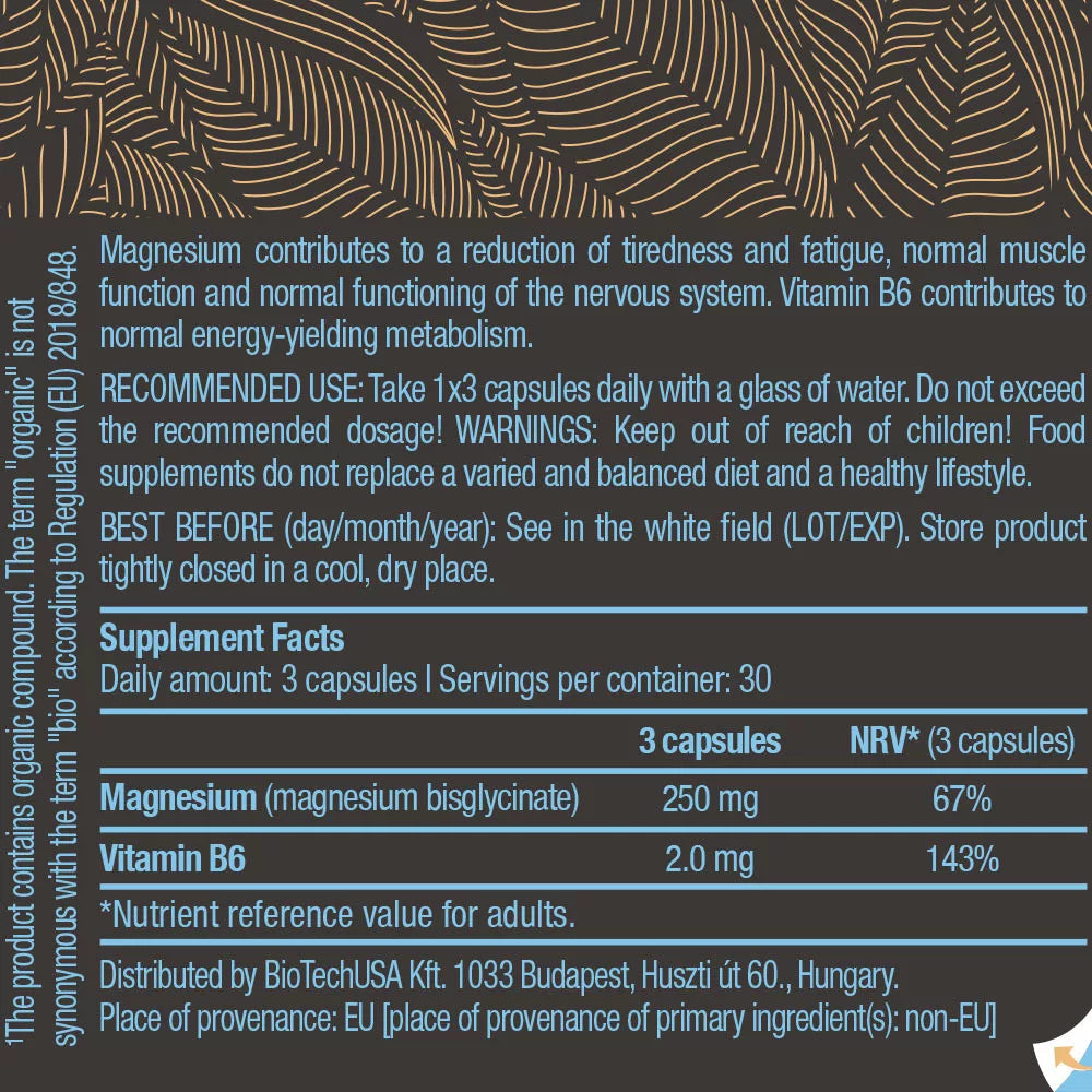 BioTechUSA Magnesium Bisglycinate (90 Capsules)