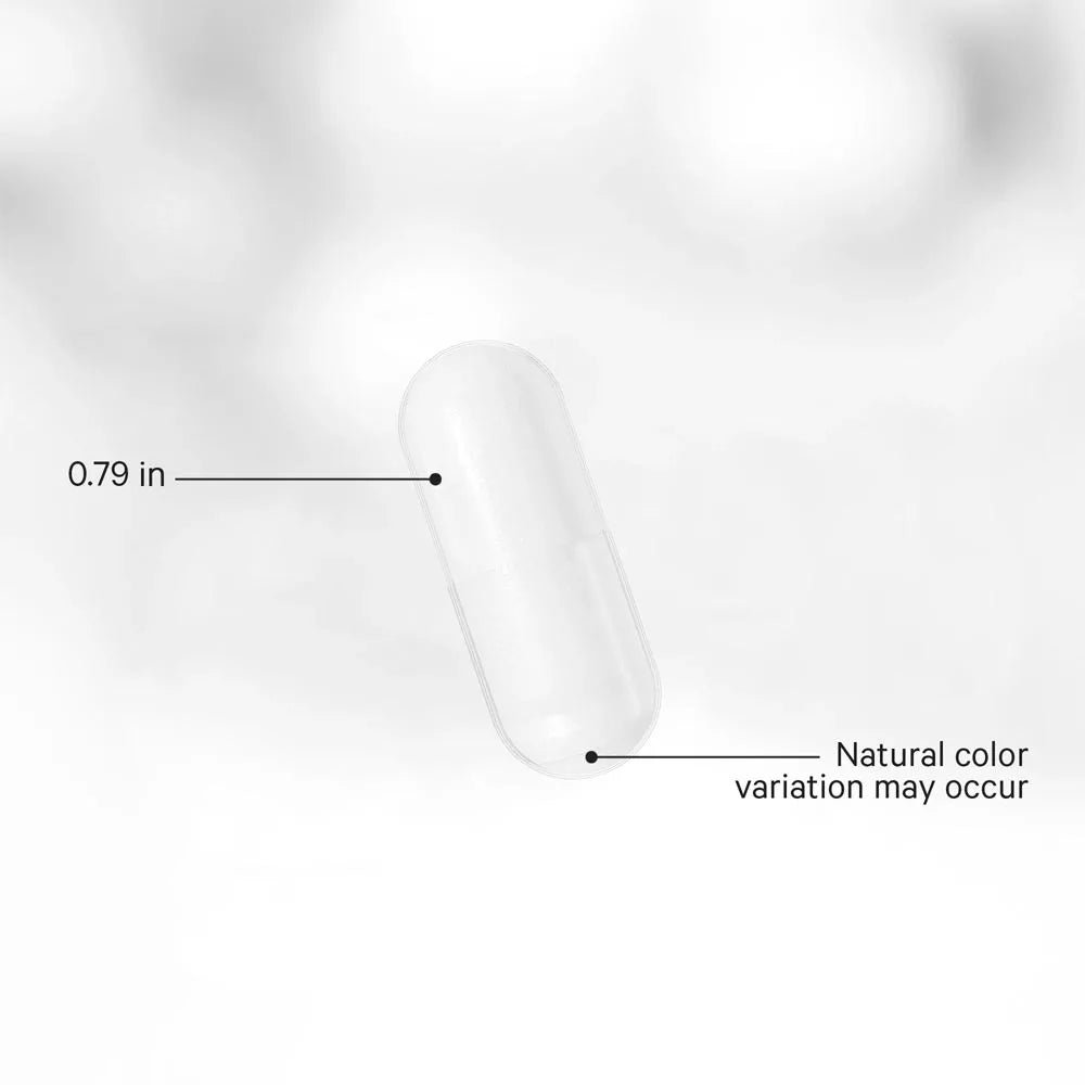 Codeage Akkermansia (90 Veg Capsules)