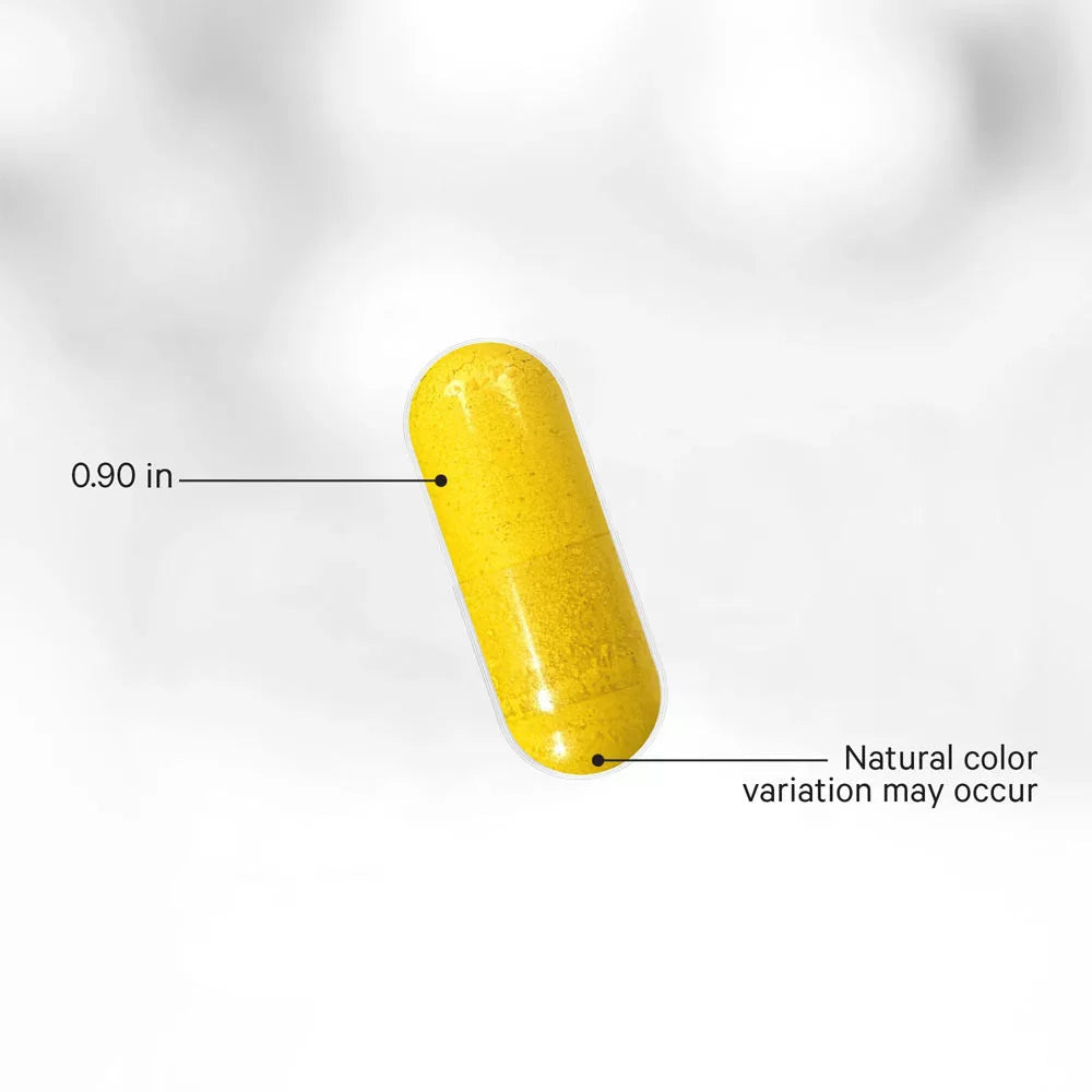 Codeage Berberine Phytosome+ (60 Veg Capsules)