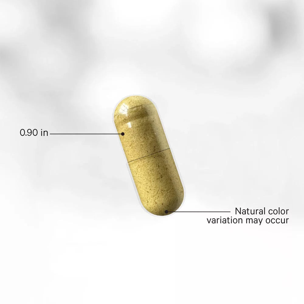Codeage Fermented Digestive Enzymes+ (90 Veg Capsules)