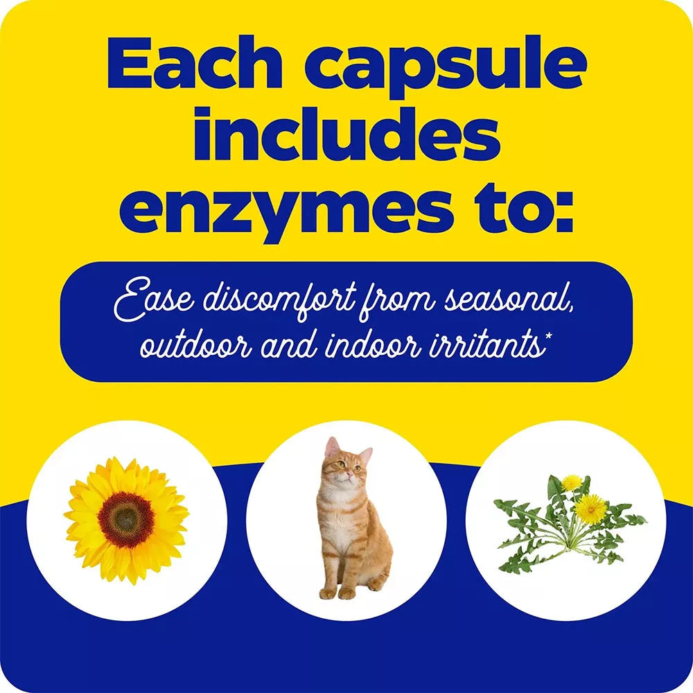 Enzymedica Allerase® (60 Capsules)