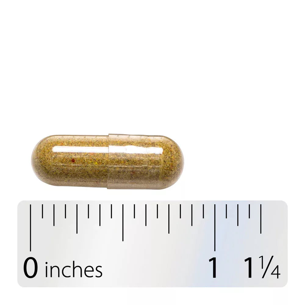 Nature's Way Echinacea Goldenseal Premium Blend (100 Capsules)