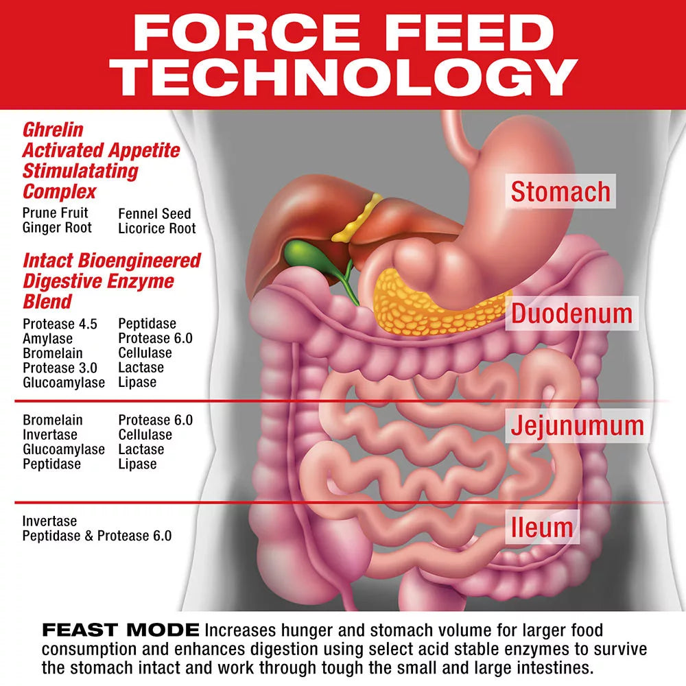 MuscleMeds Feast Mode - Appetite Stimulant (90 Capsules)