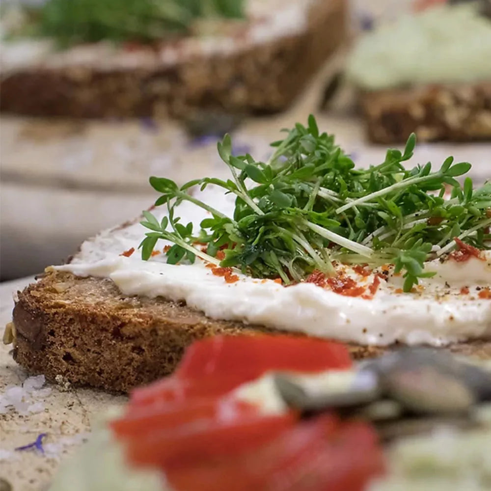 Forpro Carrot Protein Bread (250 g, Carrot)