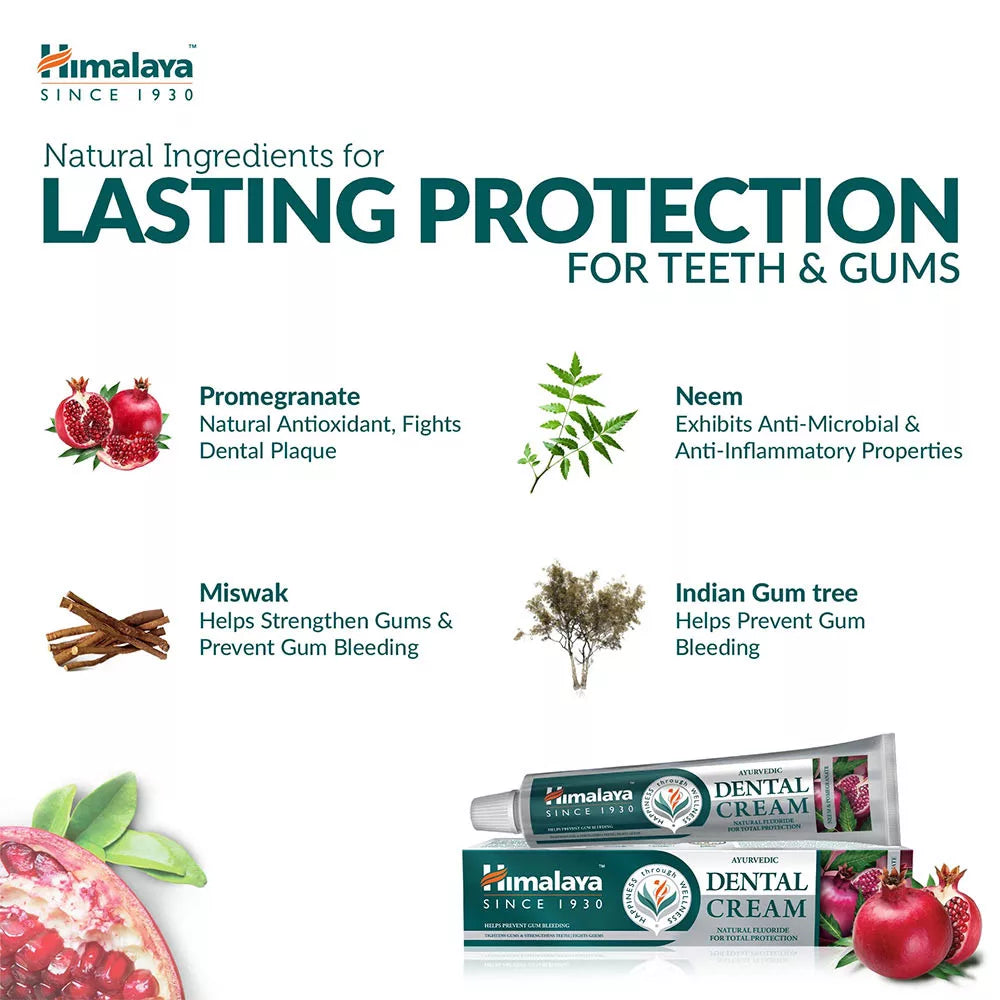 Himalaya Dental Cream Toothpaste (100 g, Pomegranate)
