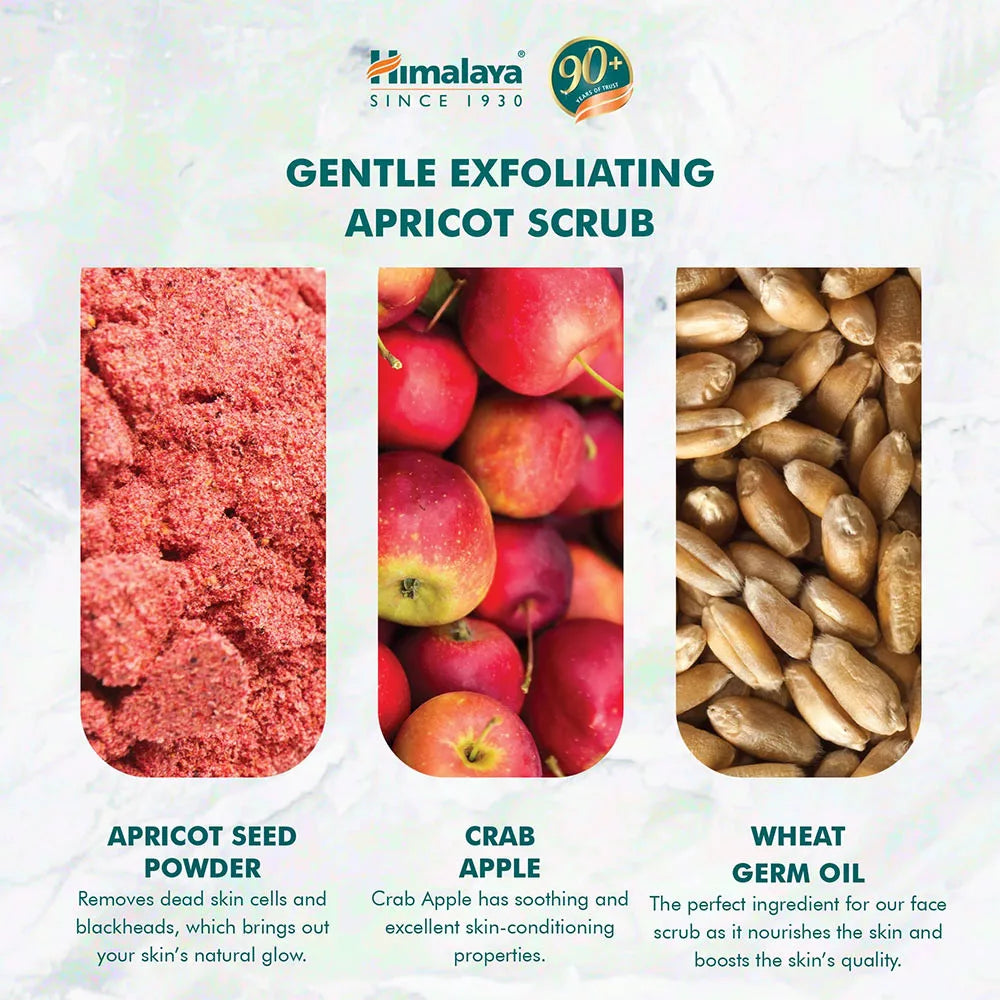Himalaya Gentle Exfoliating Apricot Scrub (75 ml, Apricot)