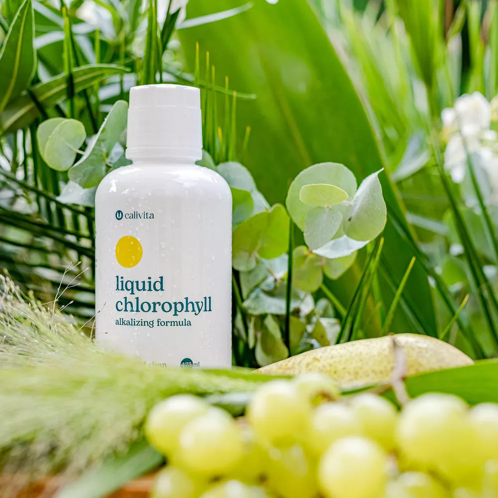 CaliVita Liquid Chlorophyll (473 ml)