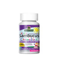 Nature's Answer Kids Sambucus Chewables (45 Chewables)