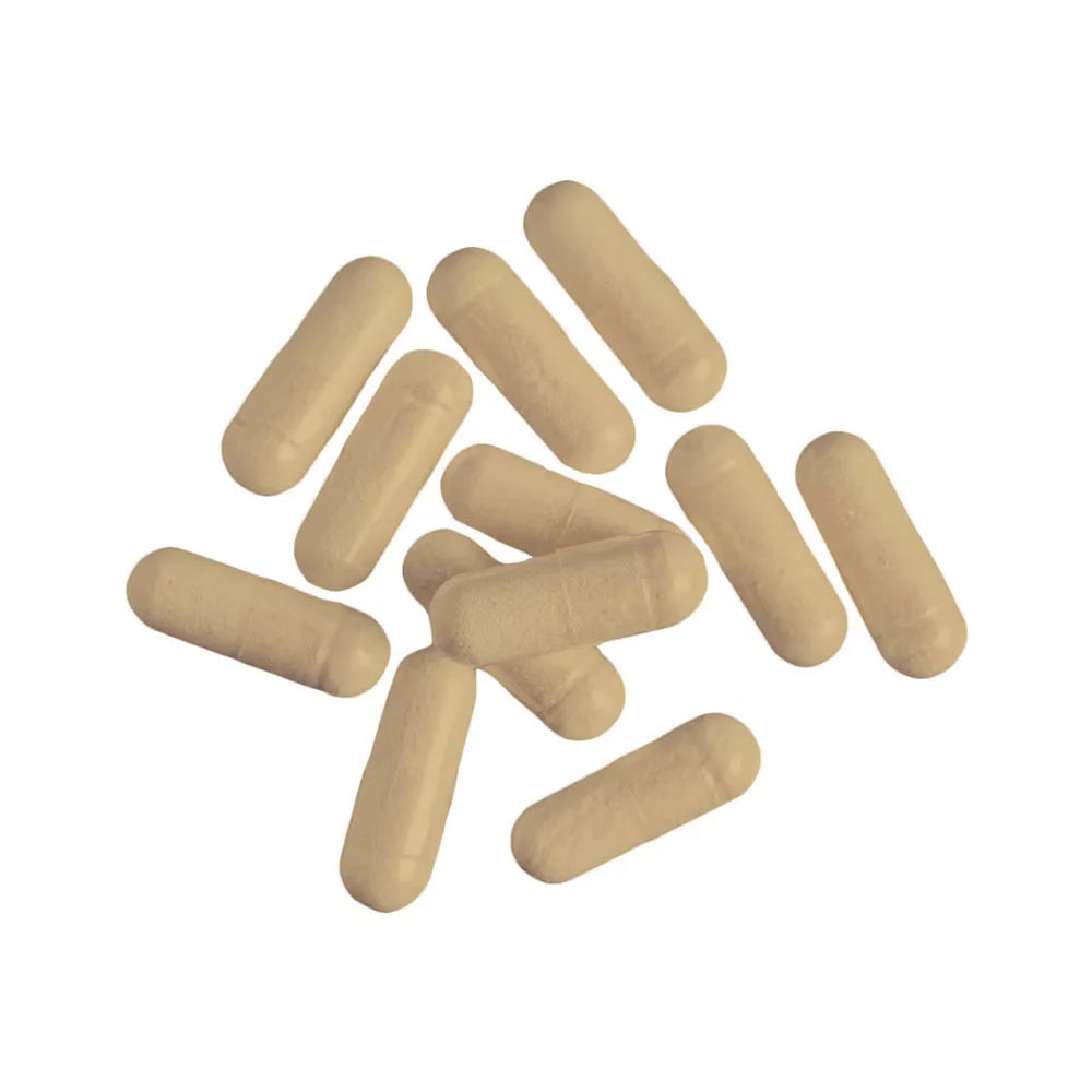 Nutrend Tribulus Terrestris Turbo (120 Capsules)