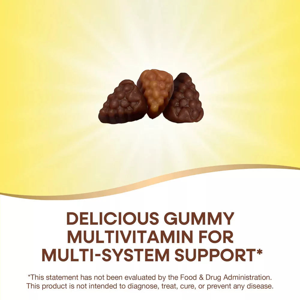 Nature's Way Alive!® Premium Adult Multivitamin Gummies (90 Gummies)