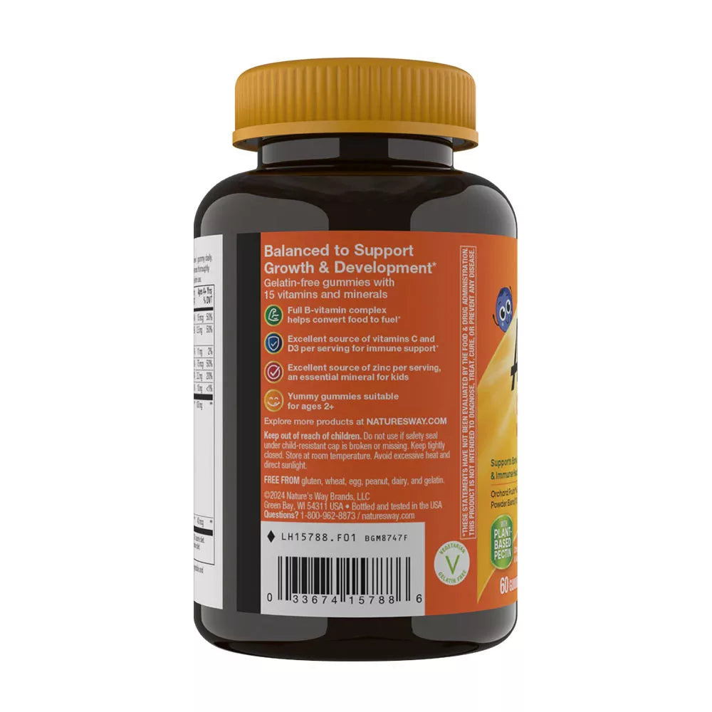 Nature's Way Alive!® Kids Multivitamin Gummy (60 Gummies, Cherry, Orange & Grape)