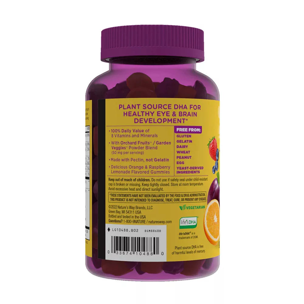 Nature's Way Alive!® Daily Support Prenatal Gummy Multivitamin (90 Gummies, Orange & Raspberry Lemonade)
